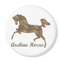 Arabian Horses Fridge Magnet