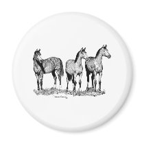 Arabian Horses Refrigerator Magnets