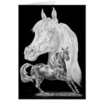 Arabian Horses Montage Drawing by Kelli Swan cards
