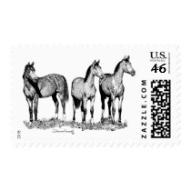Arabian Horses Stamp