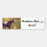 Arabian Horses Rock, Bumper Sticker