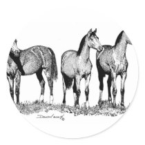 Arabian Horses Round Sticker
