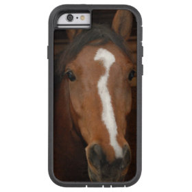 Arabian Horses Tough Xtreme iPhone 6 Case