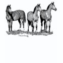 Arabian Horses shirt