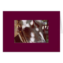 Arabian in western bridal greeting cards