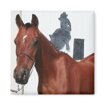 Arabian Mama Photo-23 magnets by FrankzPawPrintz Arabian Mama Photo-23 magnets