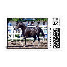 Arabian Mare Postage