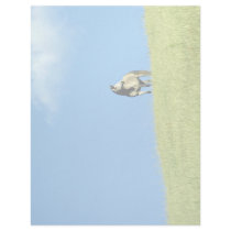 Arabian mare, Victoria, Australia Personalized Letterhead