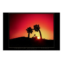 Arabian Nights - Oasis posters by pixelish Arabian Nights - Oasis posters