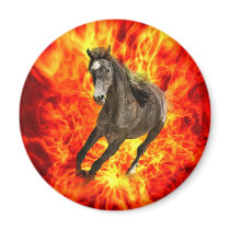 Arabian on fire fridge magnet
