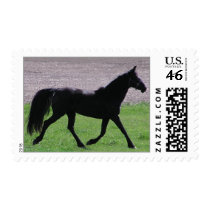 Arabian Postage Stamps