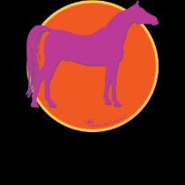 Arabian shirt