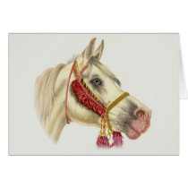 Arabian Stallion Cards