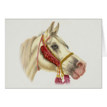 Arabian Stallion Cards