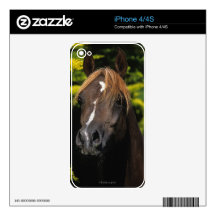 Arabian Stallion Skins For iPhone 4