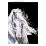 "Arabian White" Cards