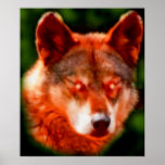 *Arabian Wolf* Spirit Art Poster Print