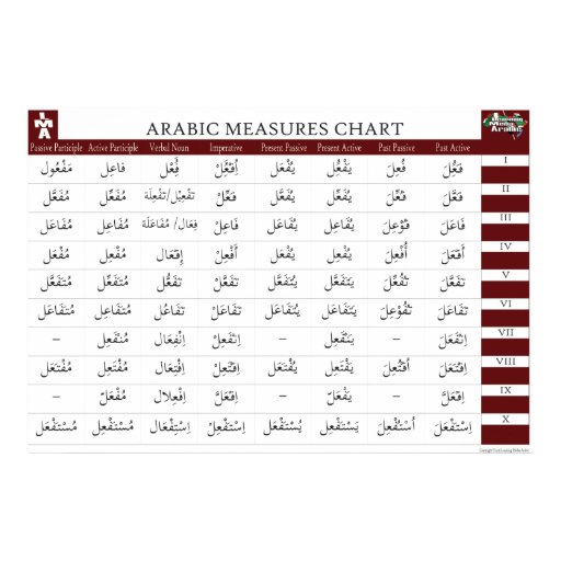 arabic measures chart poster zazzle arabic verb measures chart