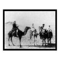 Arabs on Camels in the Sahara Desert 1914 posters