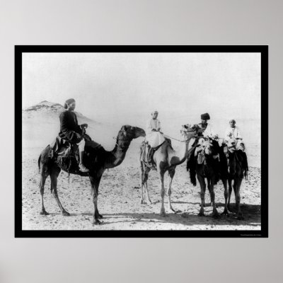 Arabs on Camels in the Sahara Desert 1914 Posters by lc_vintagephotos
