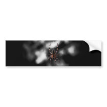 Arachnid Bumper Sticker bumper stickers