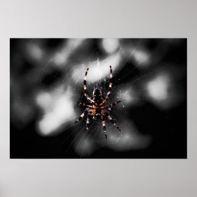 Arachnid Poster & Canvas Print by Eseffpe