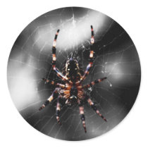 Arachnid Stickers