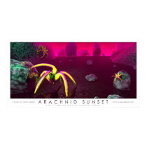 Arachnid Sunset posters