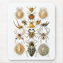 Arachnida (Spiders), Ernst Haeckel mousepads