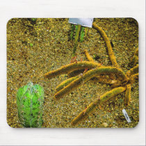 Arachnocactus mousepads