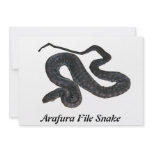 Arafura File Snake Invitation