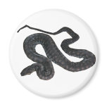 Arafura File Snake Round Magnet