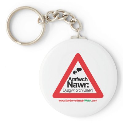 ARAFWCH KEY CHAINS by SSIWelsh
