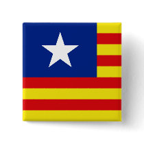 Aragon, South Korea flag Pin