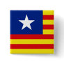 Aragon, South Korea flag Pinback Button