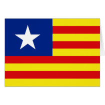 Aragon, South Korea flag Greeting Cards