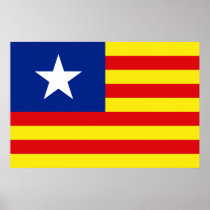 Aragon, South Korea flag Posters