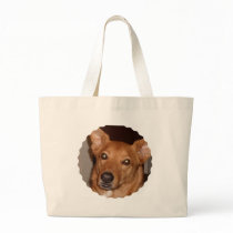Arag's 'Buddy line' Bag