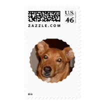Arag's 'Buddy line' Postage Stamp
