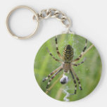 Araña con la presa llaveros