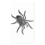 Aranea Avicularia, Black Cuban Spider Business Cards