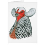 Araucana Hen Cards