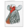 Araucana Hen Cards