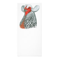 Araucana Hen rack cards