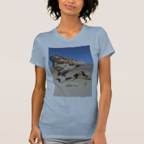 Arbol de Piedra, Bolivia t-shirts by erinbowbrite Arbol de Piedra, Bolivia t-shirts