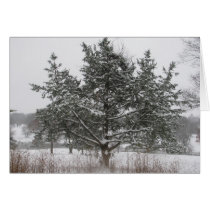 Árbol en invierno tarjetas