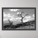Árbol marchitado (confinado) posters