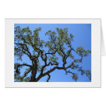 Árbol salvaje felicitacion 