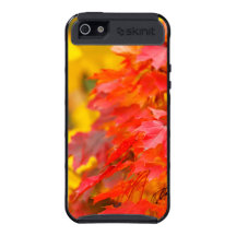 Árboles con las hojas del naranja y del amarillo e iPhone 5 fundas