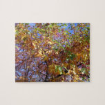 Árboles cromáticos puzzle con fotos